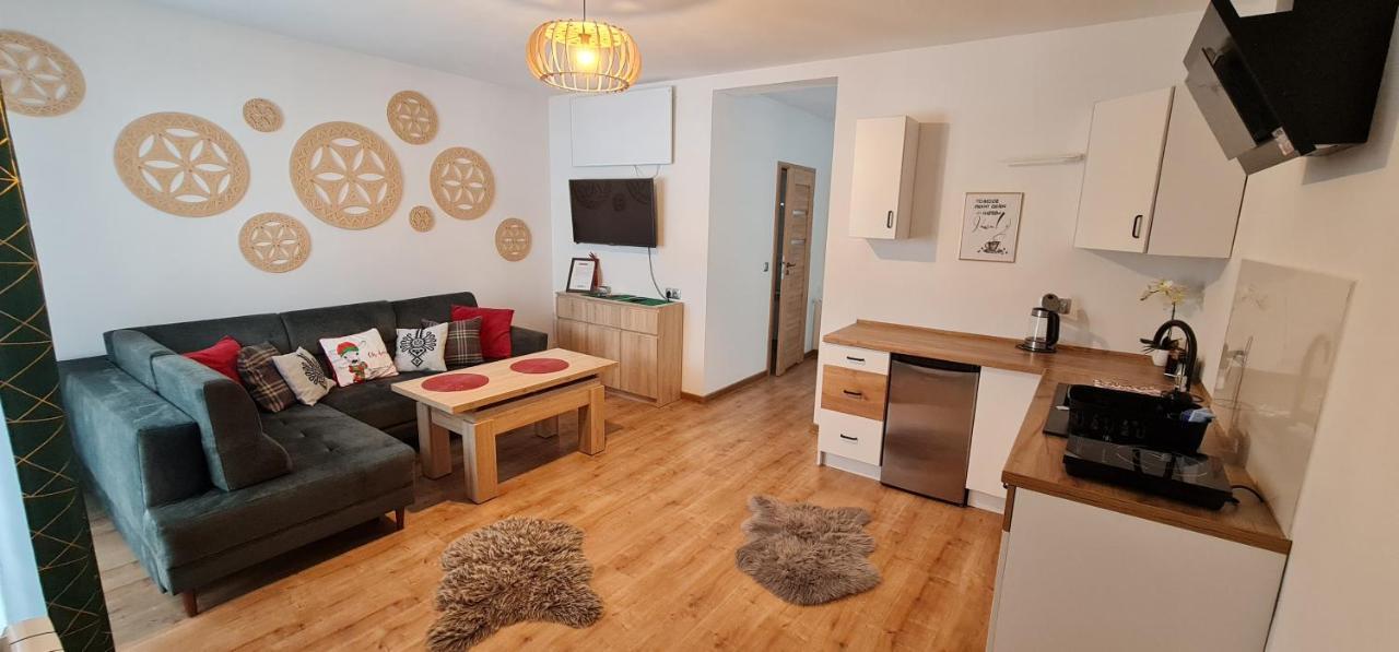 Apartament Na Brzyzku ซาโกปาเน ภายนอก รูปภาพ